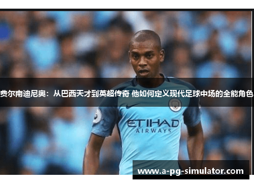 费尔南迪尼奥：从巴西天才到英超传奇 他如何定义现代足球中场的全能角色