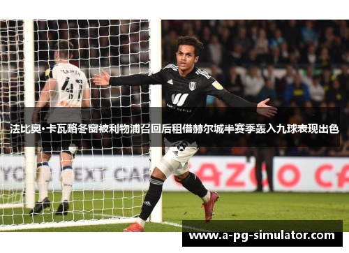 法比奥·卡瓦略冬窗被利物浦召回后租借赫尔城半赛季轰入九球表现出色 法比奥·卡瓦略冬窗被利物浦召回后租借赫尔城半赛季轰入九球表现出色