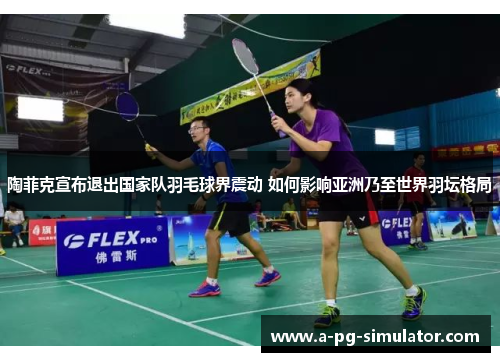 陶菲克宣布退出国家队羽毛球界震动 如何影响亚洲乃至世界羽坛格局