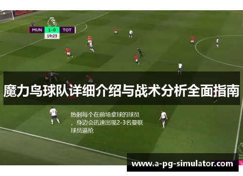 魔力鸟球队详细介绍与战术分析全面指南